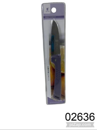 Imagen de CUCHILLO DE ACERO PARA FRUTA 20CM 3.26